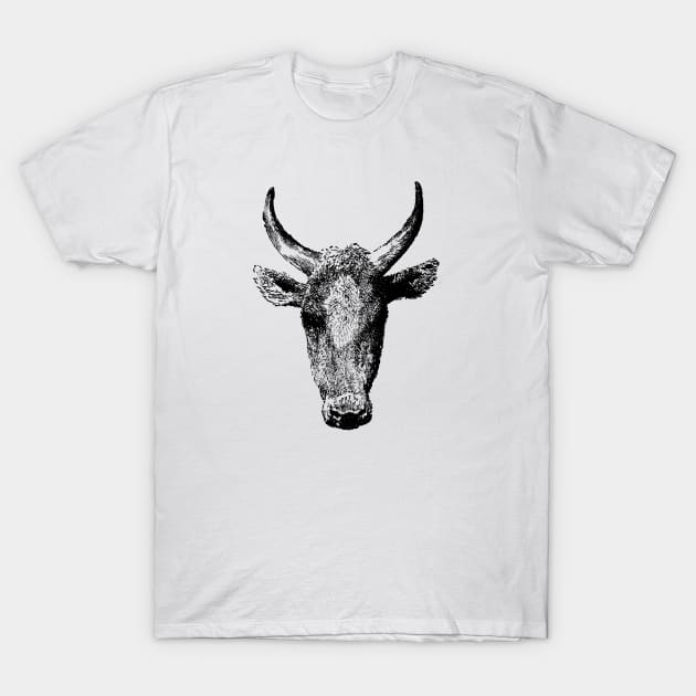 Cow T-Shirt by linesdesigns